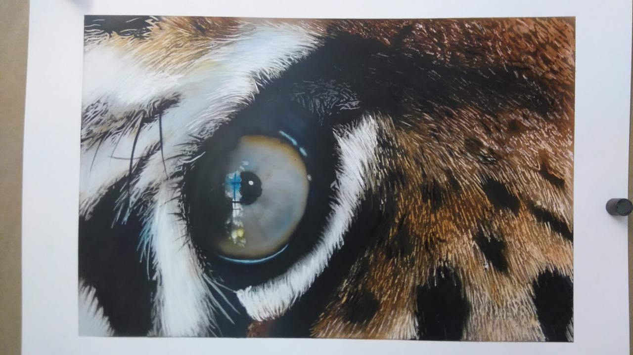 oeil de tigre